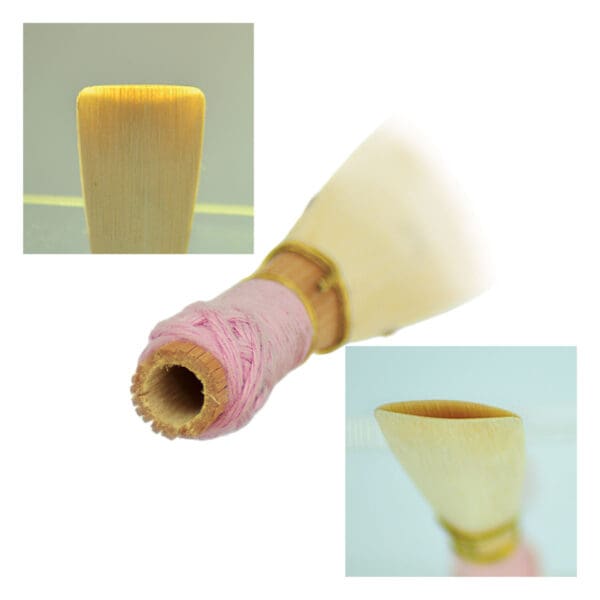 Westwood | Contrabassoon Reed