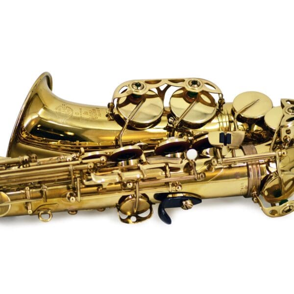 Selmer Paris | Series II Alto Saxophone